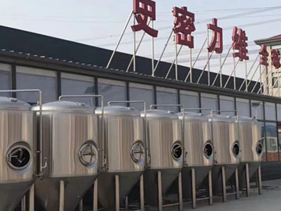 乐东精酿啤酒设备厂—市场规模与跨界新需求